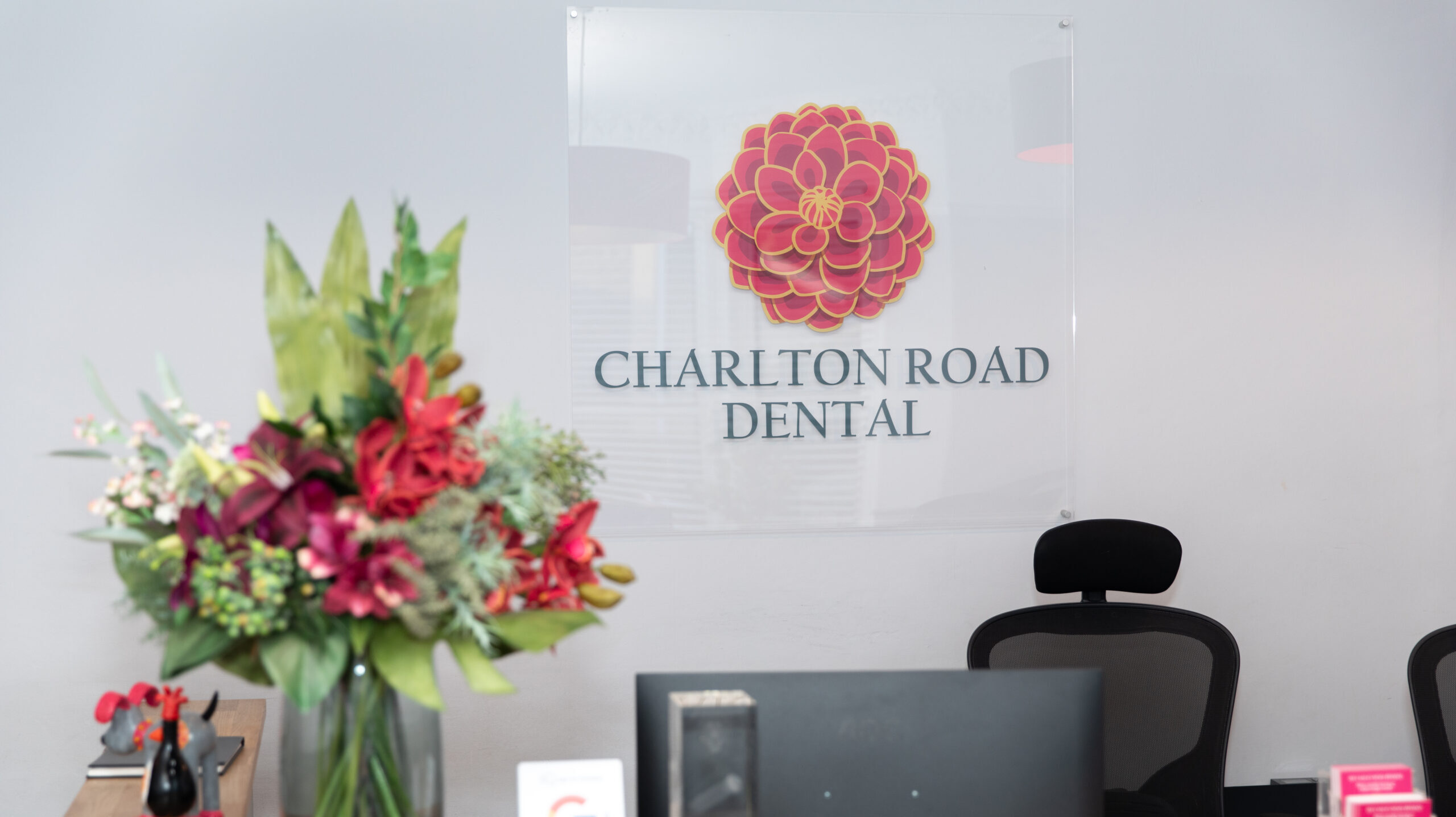 intro media placeholder